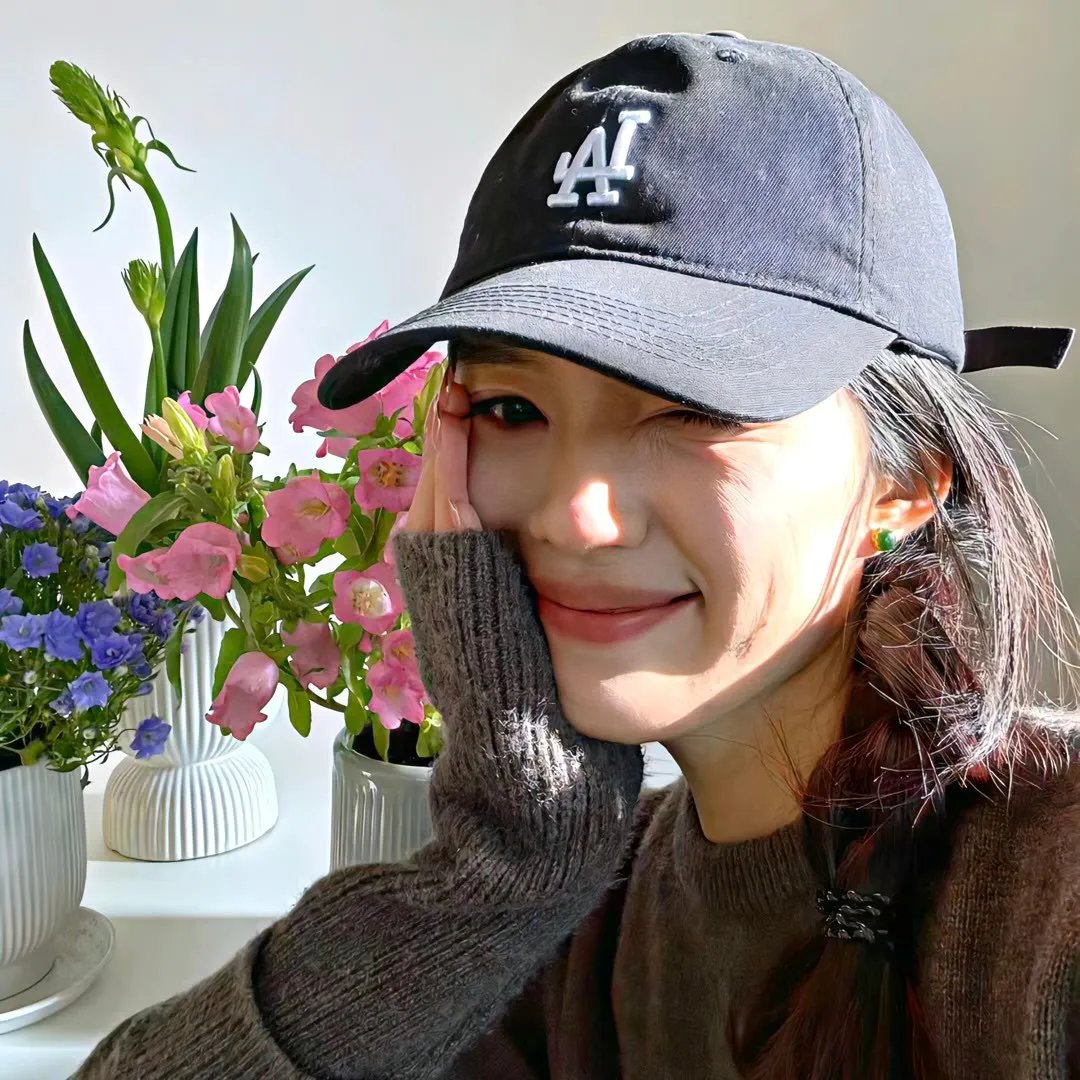 一切要从一只蜘蛛说起